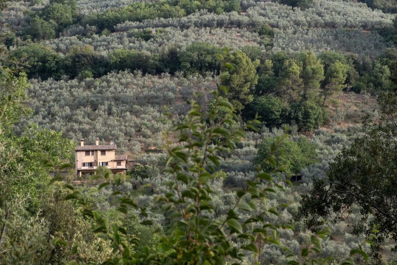 Agriturismo Il Casaletto Montefranco Exterior photo